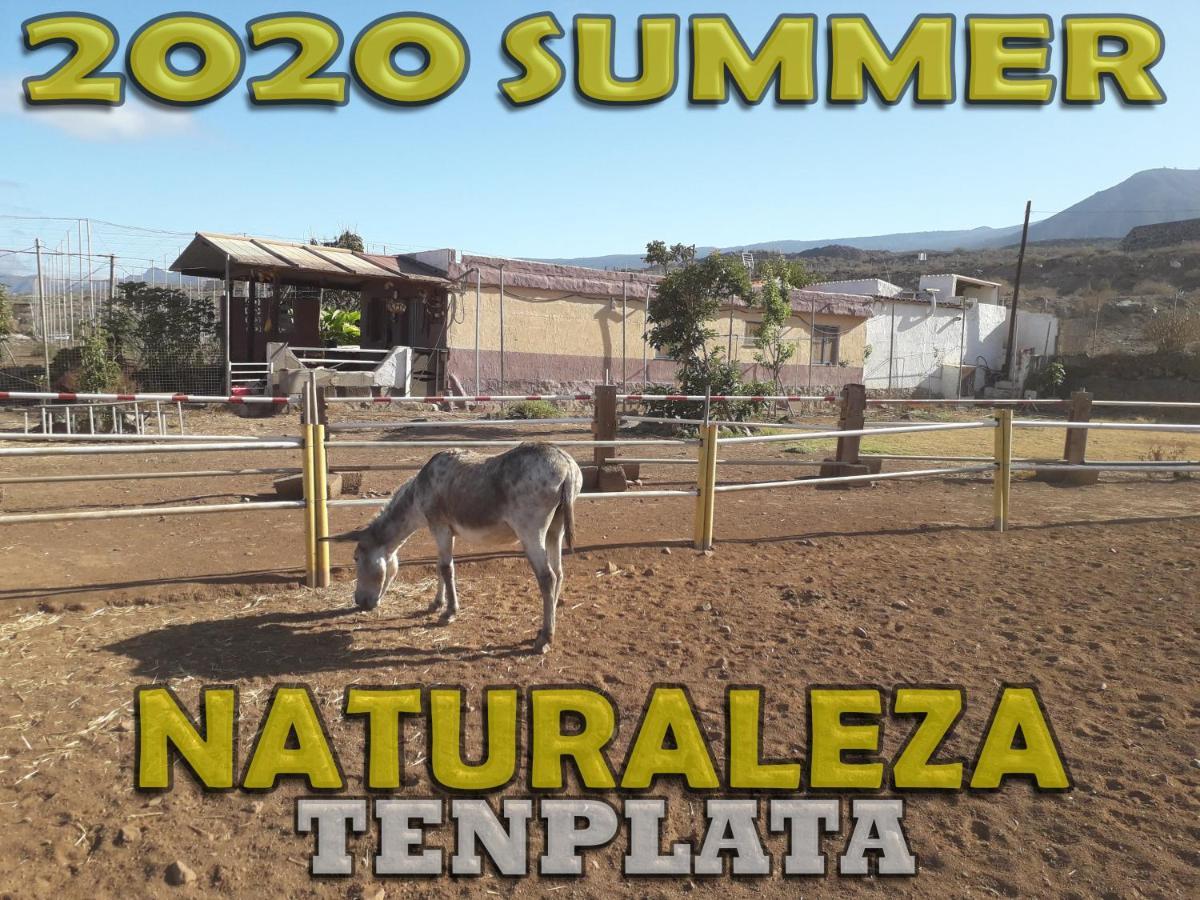 Tenplata Tijoco de Abajo Exterior photo