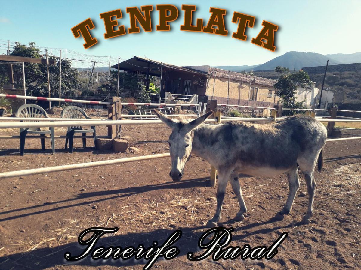 Tenplata Tijoco de Abajo Exterior photo